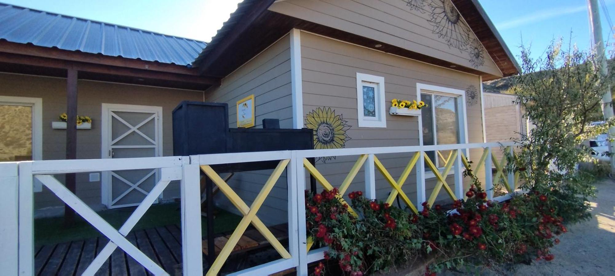 Girasoles De Valdes Puerto Piramides